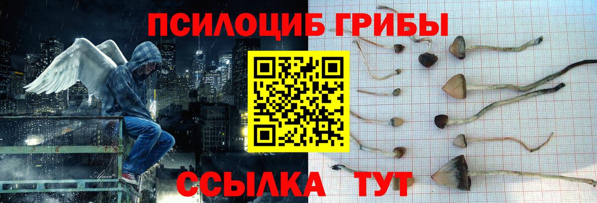 Псилоцибиновые грибы мухоморы  Вход с VPN  Елабуга 