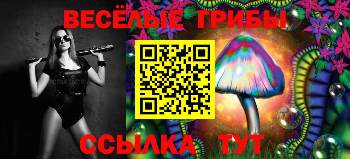 Псилоцибиновые грибы Cubensis Елабуга